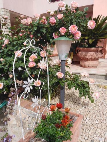 Bed & Breakfast The Roses Garden