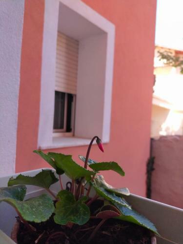 Apartamento La Casa In Centro A L'aquila