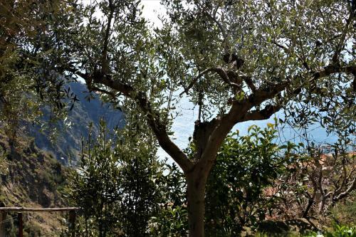 La Casetta Di Giuly A Picco Sul Mare
