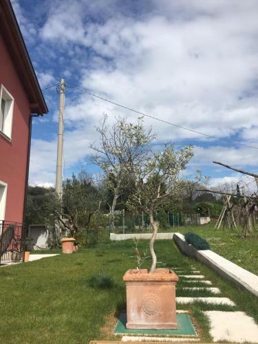 Apartamento Residence Tasso Canossa - Appartamento Con Piscina