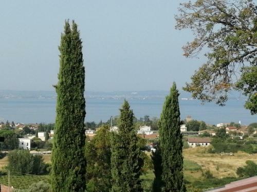 Apartamento Camera Principesca In Villa Con Piscina Termale