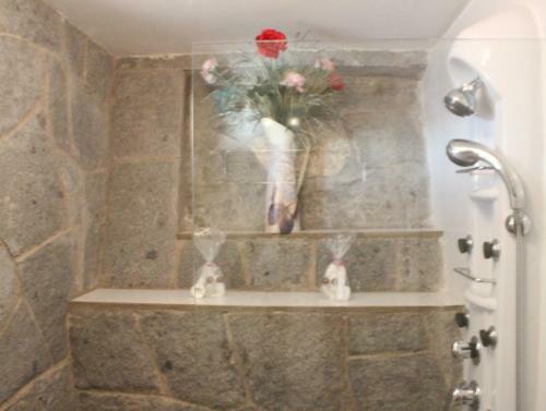 Lodge Thalassus
