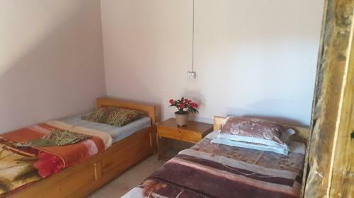 Dilpali Home Cum Farm Stay