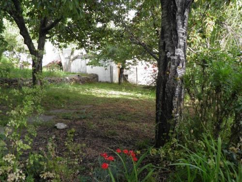 Apartamentos Casalpujarra