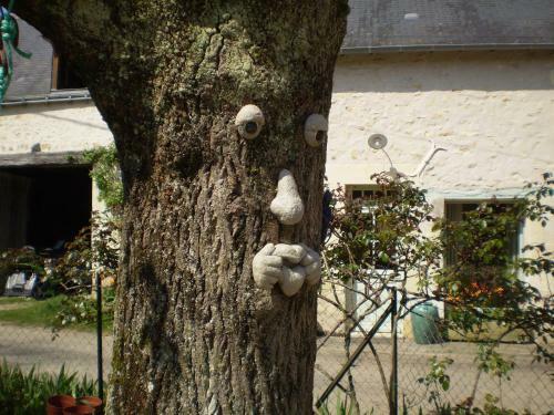Bed & Breakfast Chambre D'h�tes Le Vaujoint