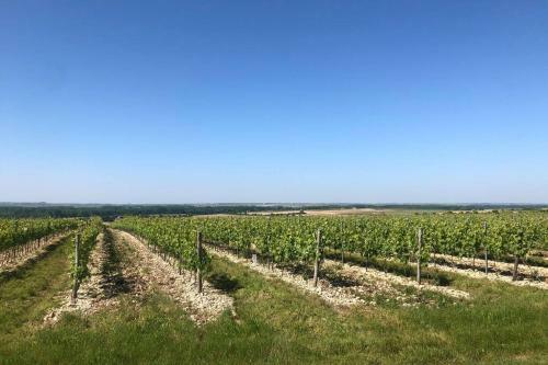 Gite Les Etoiles Blanches (15mn Cognac) 22 Pers