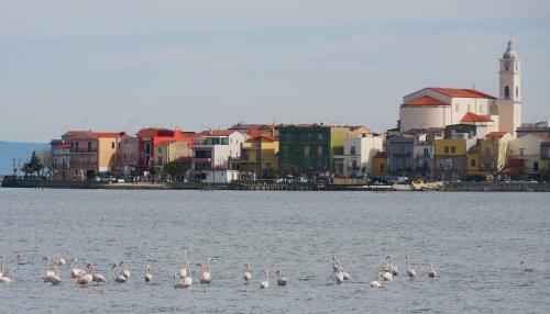 Apartamento Flamingo