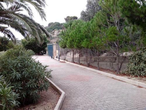 Villa Il Carrubo