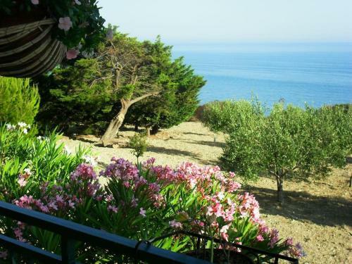Villa Il Carrubo