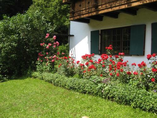 Apartamentos Haus Alpenrose
