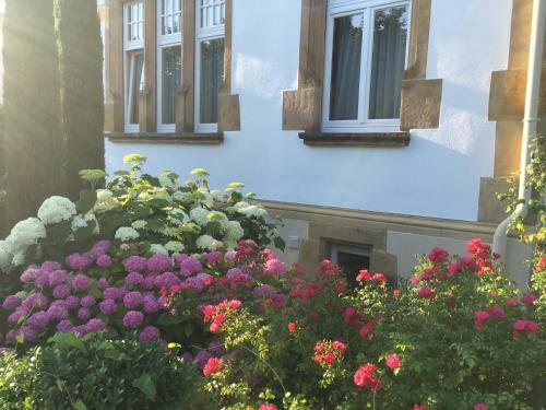 Hostal Villa Benz Hotel Garni