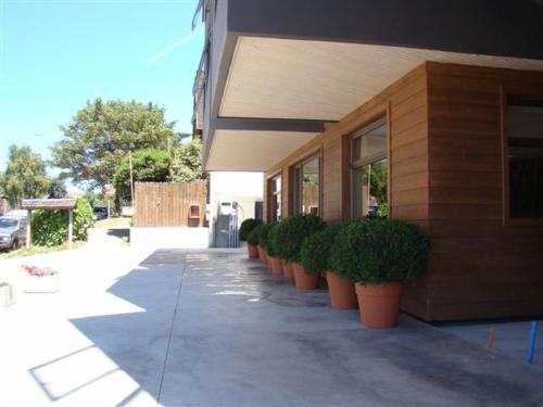 Hotel Terraza Suite