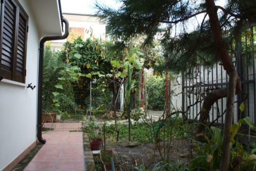 Apartamento Dimora Alba