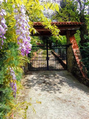 B&B Poggio Alla Cuna