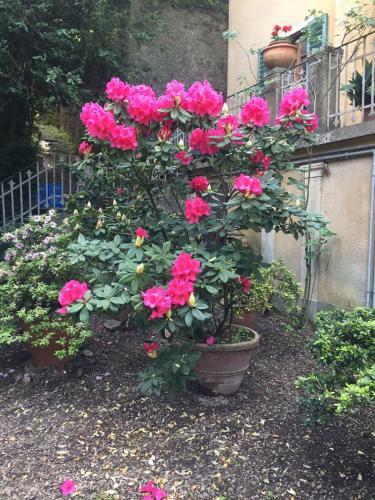 Villa Luciano Londa