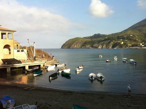 Apartamento Levantotwo Bedrooms Flat With Terrace