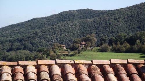 Apartamento Can Salgueda