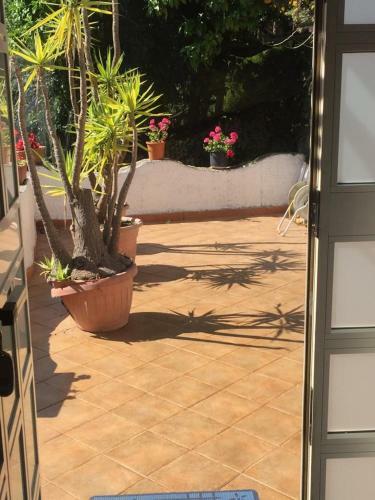 Apartamento Lemon Garden House