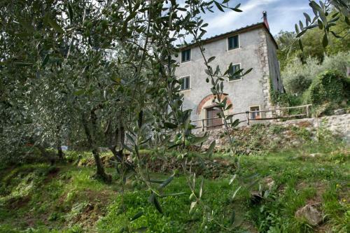 Villa Tenuta San Giovanni Lucca - Borgo Ai Rovai