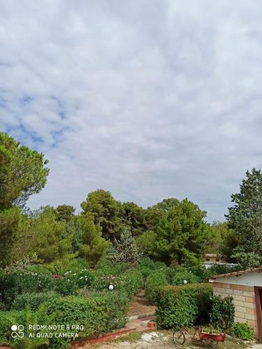 Villaggio Camping Tiziana