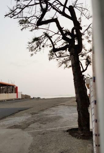 Apartamento Eremo Sul Mare