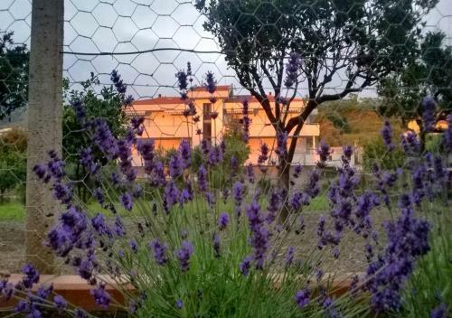 Apartamento Casa Vacanza Demetra
