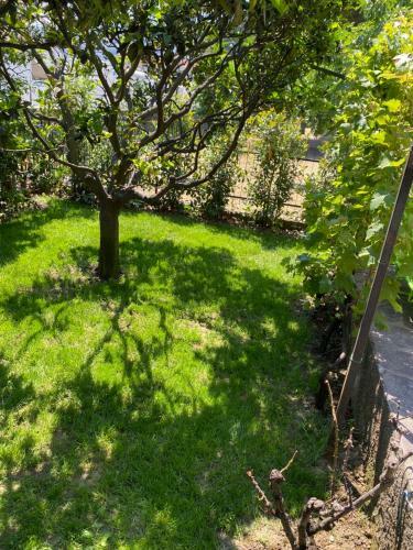 Apartamento Intera Casa Con Giardino Vicino Al Mare Andora