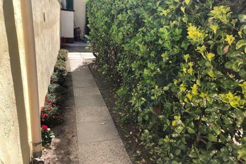 Apartamento Casina Marina