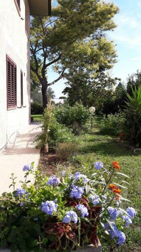 Apartamento Agriturismo San Rocco