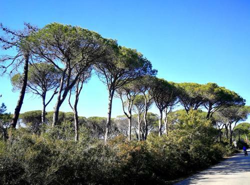 La Meria Di Maria Casa Arancio