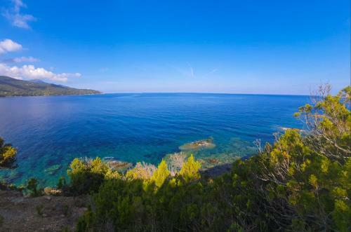 Apartamento Residenza Le Tartarughe