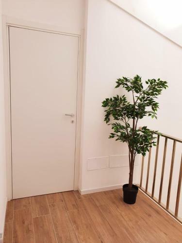 Beach Apartments Marina Di Ragusa