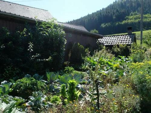 Agroturismo Zimmerbauernhof