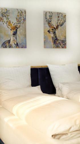 Hotel Sonnenschein