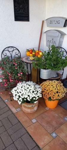 Apartamento G�stehaus Klein