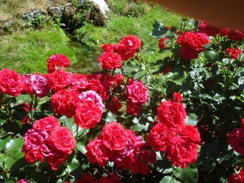 Apartamento Drei Zinnen