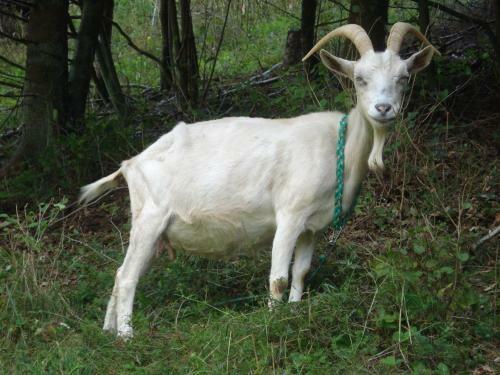 Apartamento Drei Zinnen