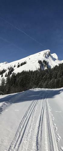 Apartamento Ferienwohnung Alpenzeit