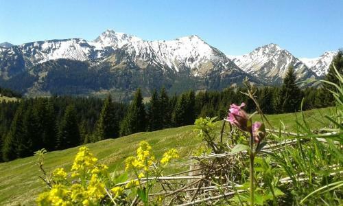 Apartamento Landhaus Panorama