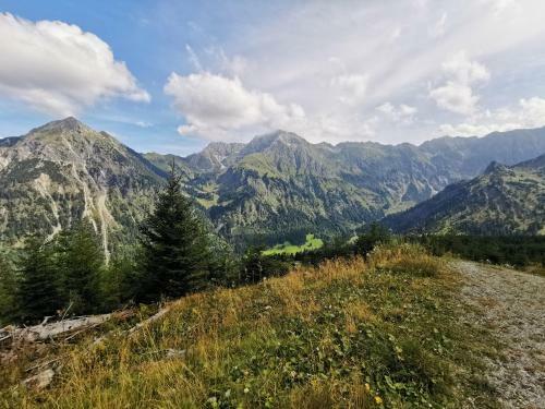 Apartamento Ferienwohnung Wiesenblick