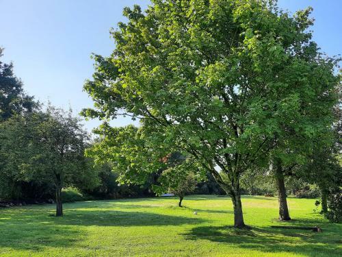 Apartamento Hof Ruemland Ferienwohnungen