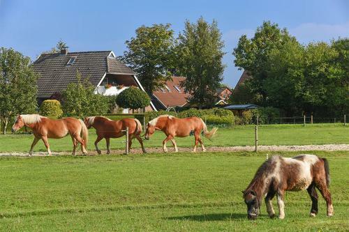 Apartamento Ferienhof Zur Alten Linde