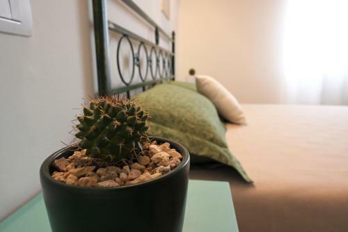 Hostal Masseria Petra