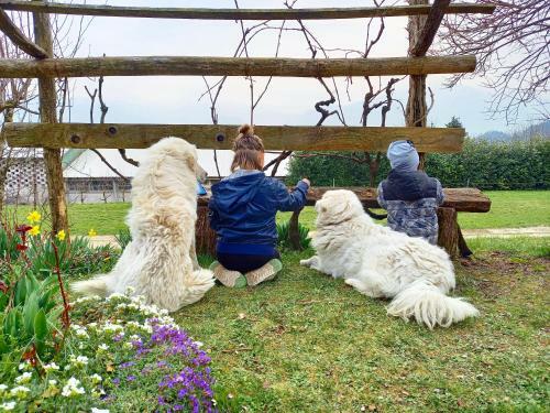 Bed & Breakfast Le Sorgive