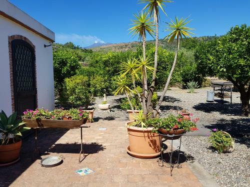 Agroturismo Agriturismo Le Case Di Civi