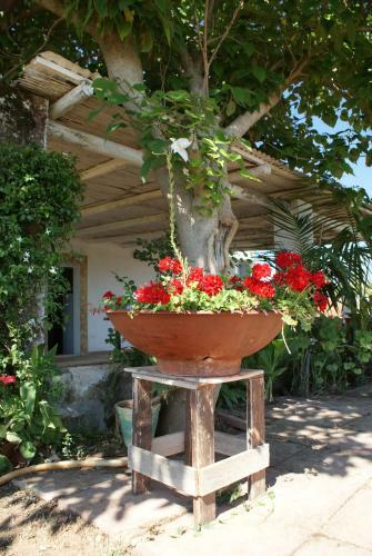 Agroturismo Giardini Romeo La Melia