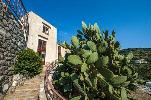 Villa Lubrense Luxury Home