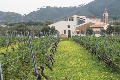 Villa Tenuta Rasocolmo