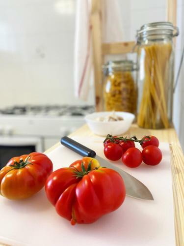 Apartamento Casa Casti