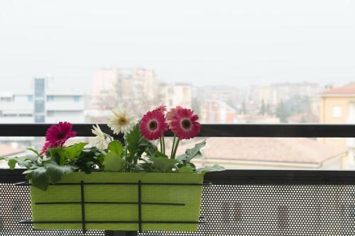 Apartamento Il Piccolo Nido